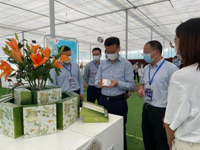 南农印象 科技邂逅美丽，百合护肤系列惊艳亮相首届八卦洲百合科技文化旅游节