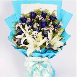 百合幸福产品价格查询与比价指南——聚焦220-290元区间，51比购返利网助您精明消费