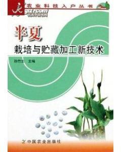 从传统种植到科技赋能 浅谈百合工厂化栽培与管理